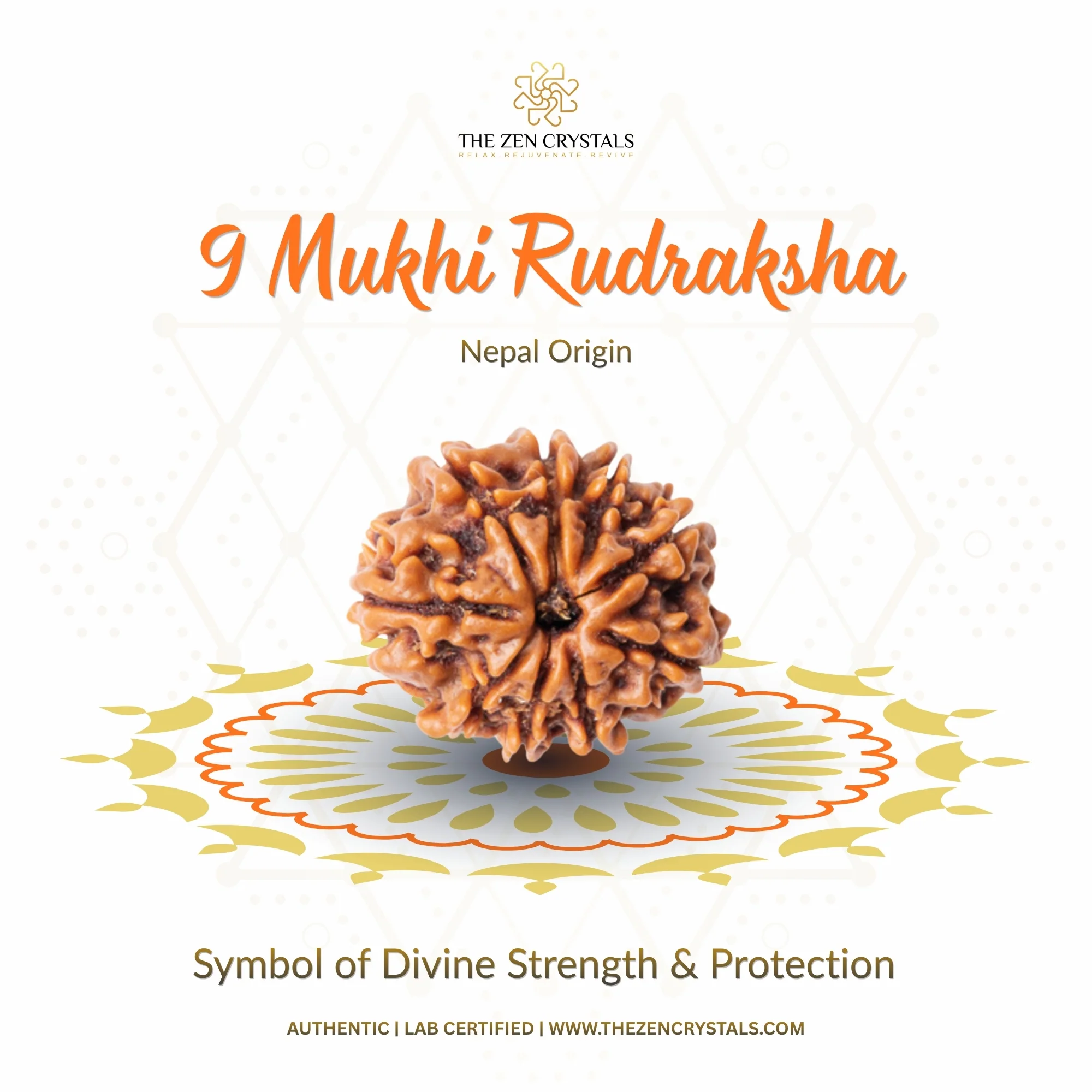 9 Mukhi Rudraksha - Nepal (Xray Certified) - Image 2