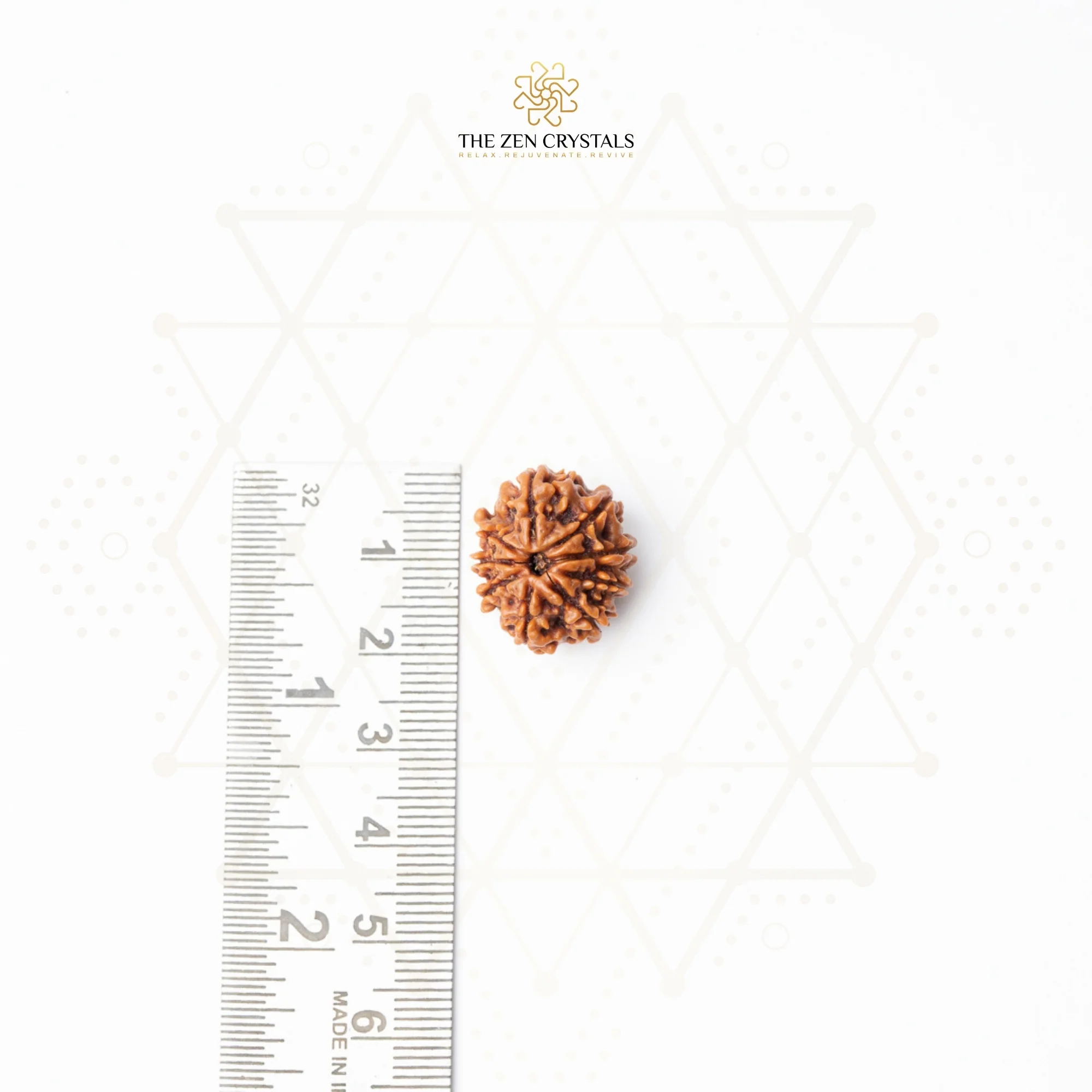 9 Mukhi Rudraksha - Nepal (Xray Certified) - Image 5
