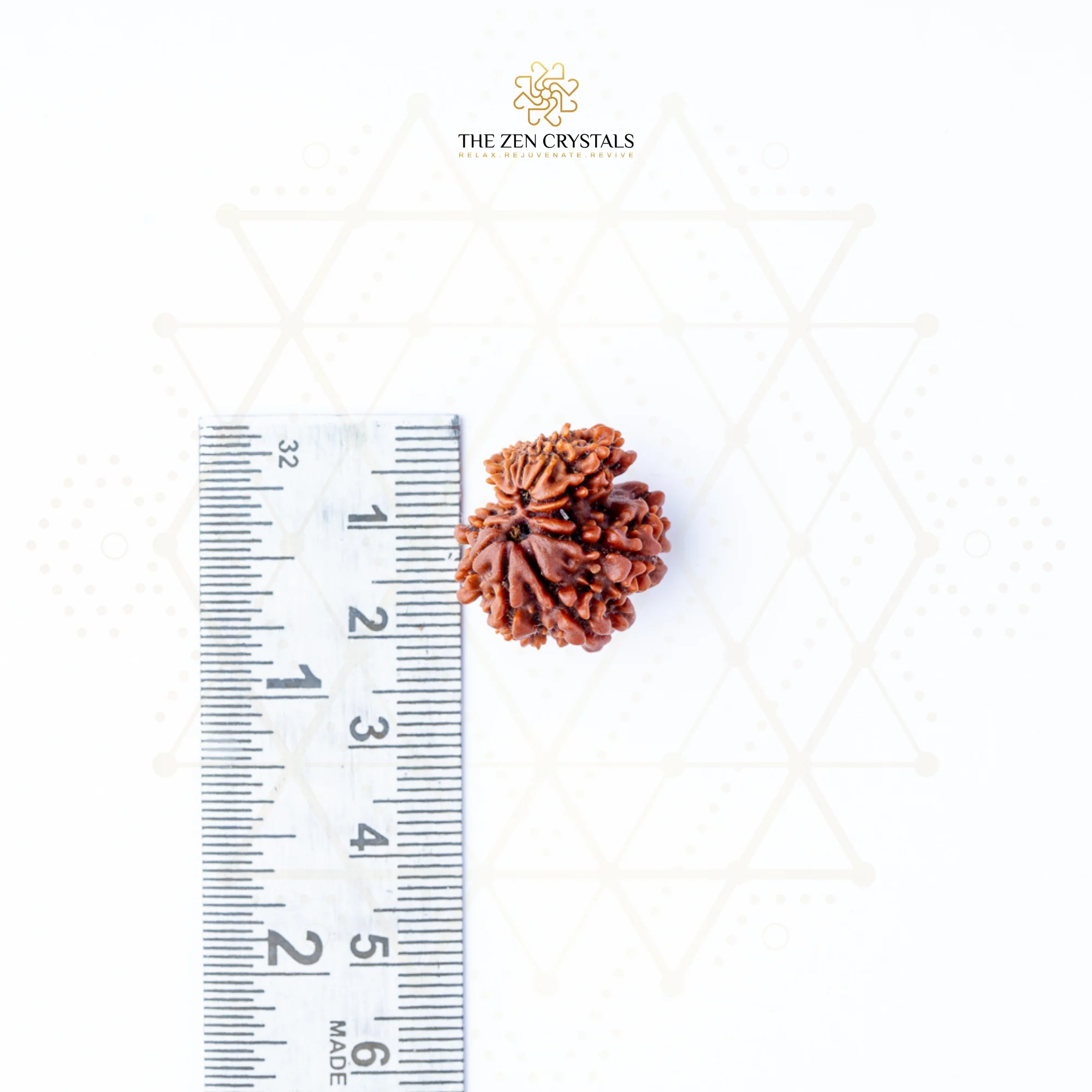 Gauri Shankar Rudraksha - Nepal - Image 5