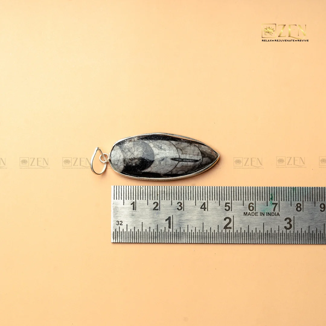 Orthoceras Pendant - Image 5